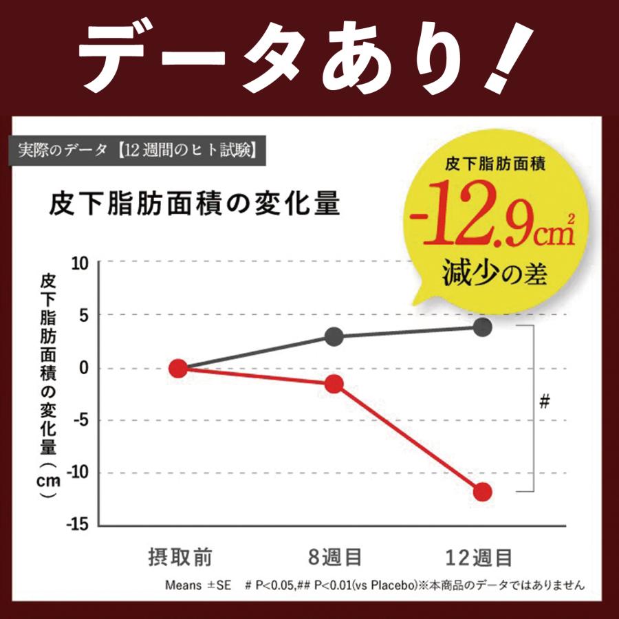 ダイエットサプリ ブラックジンジャー 脂肪燃焼 ヒハツエキス ビタミンB群 カルニチン バニボ BURNiBO 1袋 さくらの森｜sakura-forest｜17