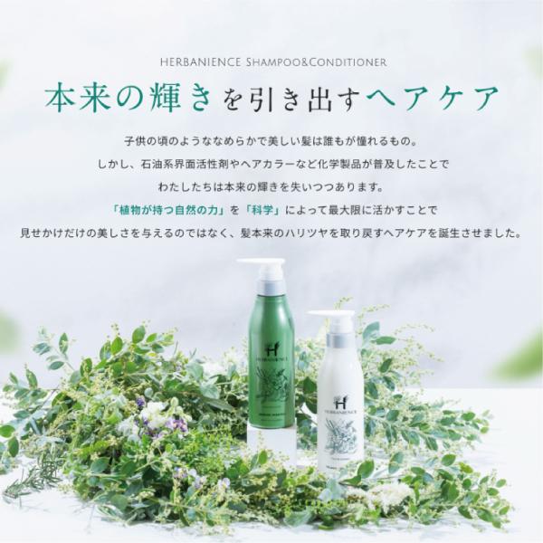 プレミアムハーデン グリーン シャンプー ヘアパック 詰め替え ドレス