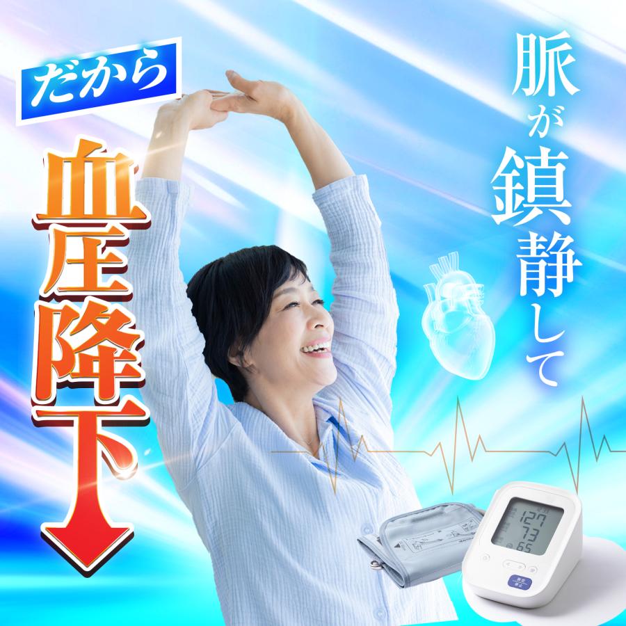 高血圧 動脈硬化 血圧降下 漢方薬 意発 ひのみの漢方 30包 第2類医薬品 偏食 運動不足 生活習慣 さくらの森 |  | 12