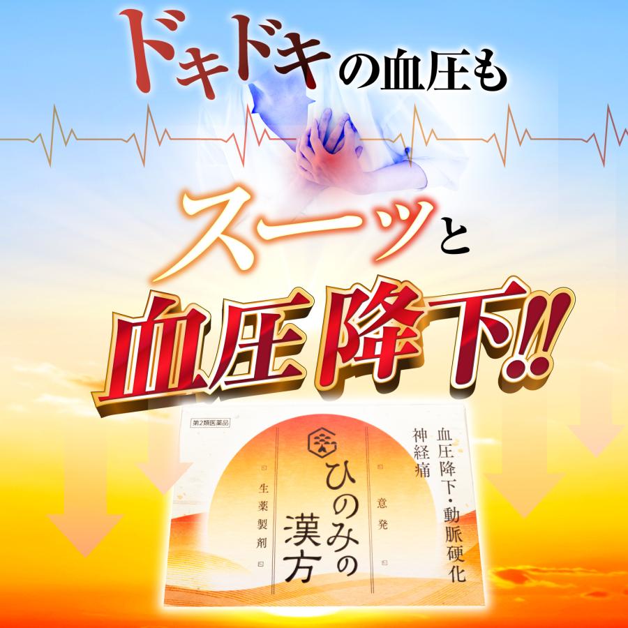高血圧 動脈硬化 血圧降下 漢方薬 意発 ひのみの漢方 30包 第2類医薬品 偏食 運動不足 生活習慣 さくらの森 |  | 15
