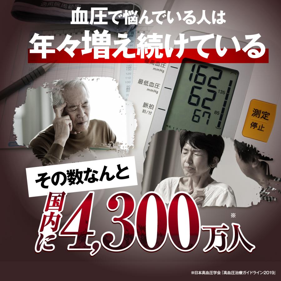 高血圧 動脈硬化 血圧降下 漢方薬 意発 ひのみの漢方 30包 第2類医薬品 偏食 運動不足 生活習慣 さくらの森 |  | 06