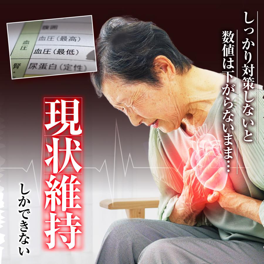 高血圧 動脈硬化 血圧降下 漢方薬 意発 ひのみの漢方 30包 第2類医薬品 偏食 運動不足 生活習慣 さくらの森 |  | 07