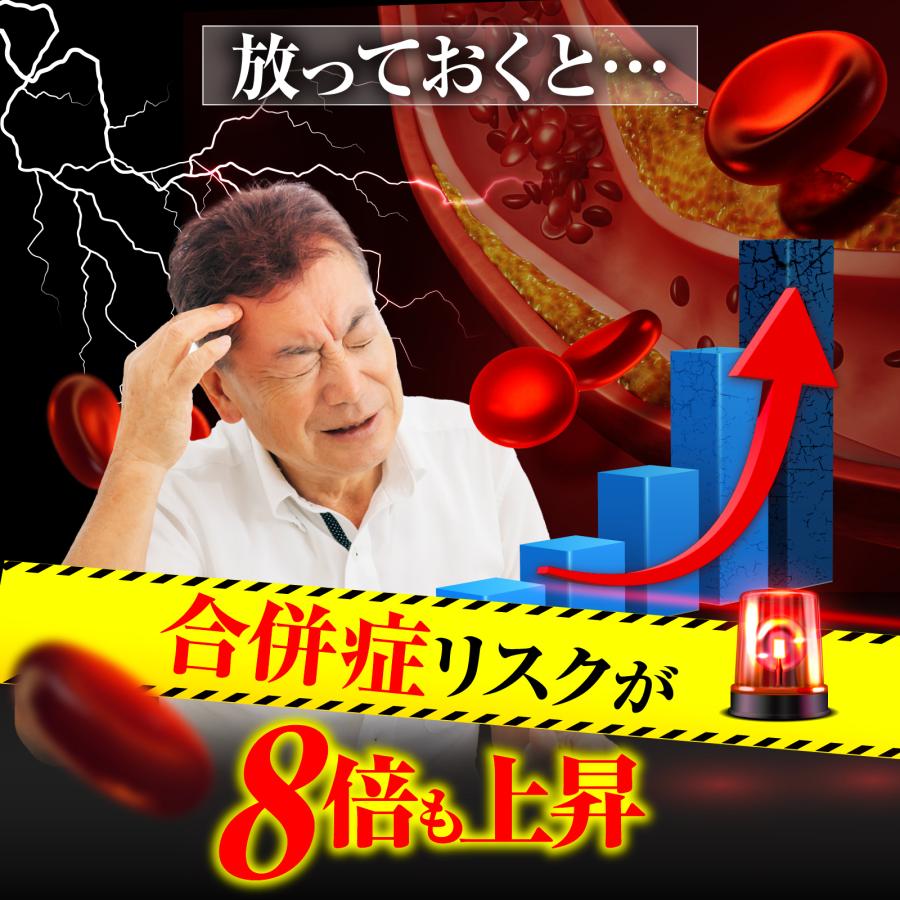 高血圧 動脈硬化 血圧降下 漢方薬 意発 ひのみの漢方 30包 第2類医薬品 偏食 運動不足 生活習慣 さくらの森 |  | 08