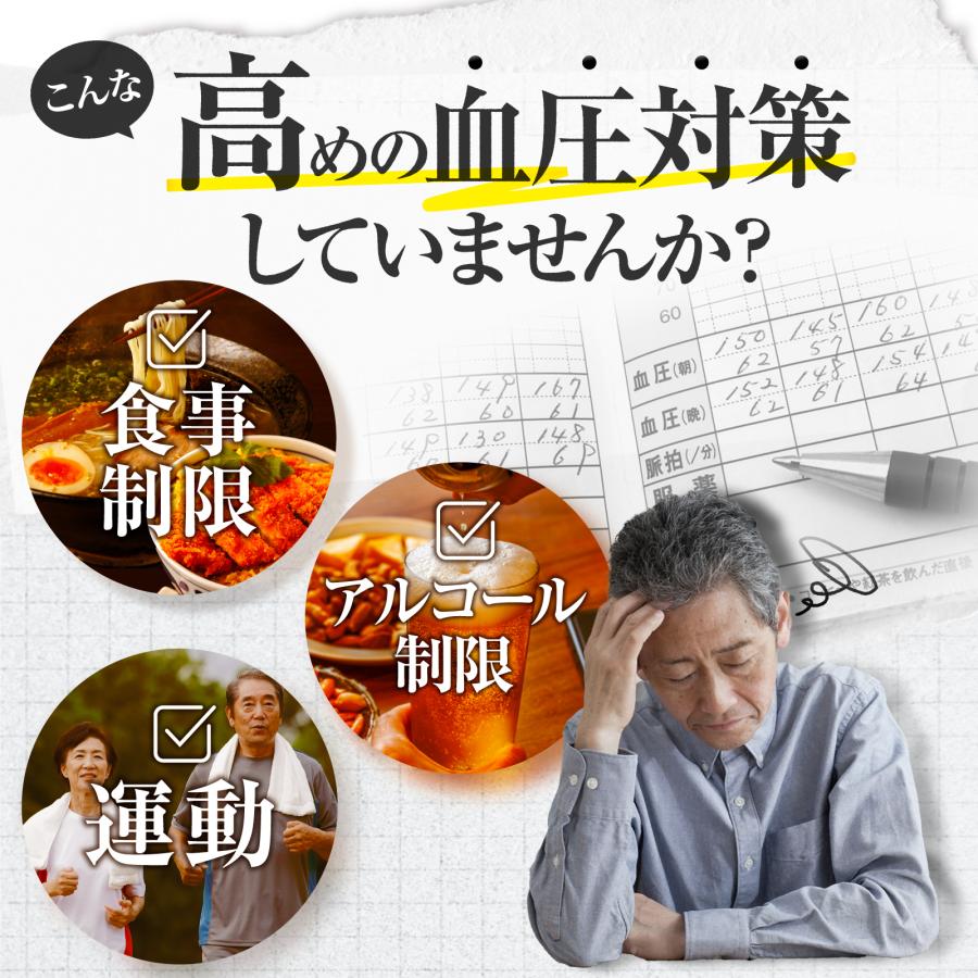 高血圧 動脈硬化 血圧降下 漢方薬 意発 ひのみの漢方 30包 第2類医薬品 偏食 運動不足 生活習慣 さくらの森 |  | 03