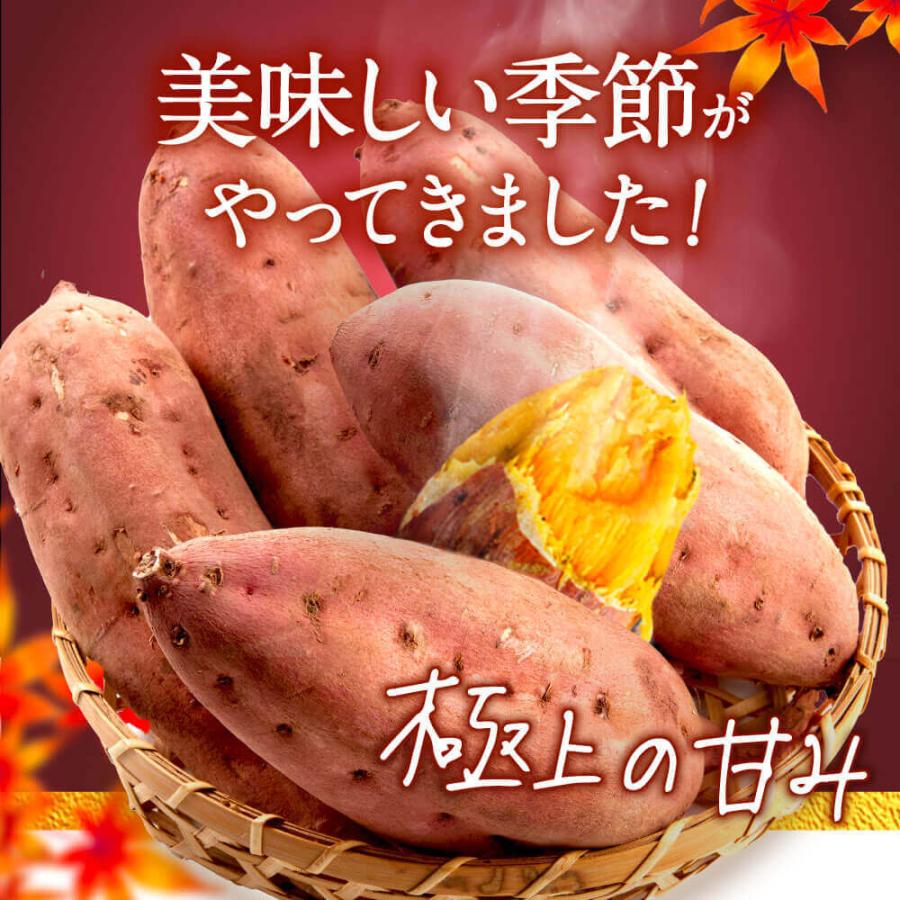 干し芋 1袋 無添加 無着色 砂糖不使用 溶岩焼き さくらの森 120g