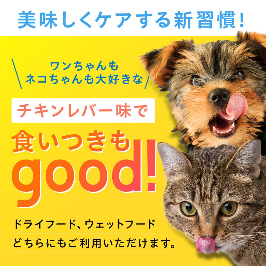 犬 歯磨き 猫 デンタルケア 歯石 歯垢 口臭 歯磨きガム サプリ猫