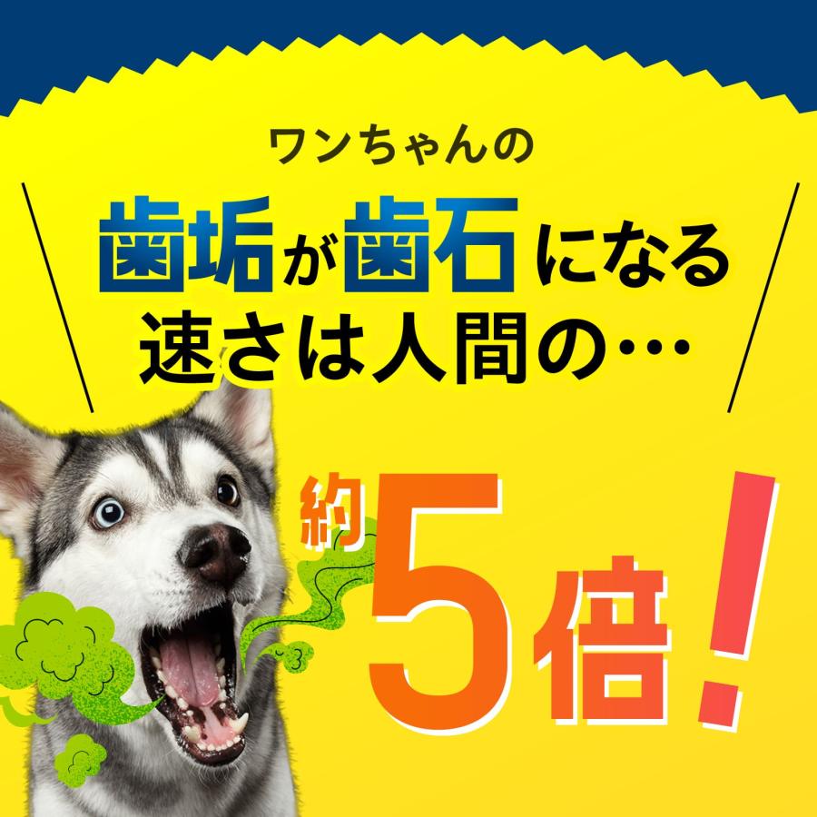 犬 歯磨き 猫 デンタルケア 歯石 歯垢 口臭 歯磨きガム サプリ猫