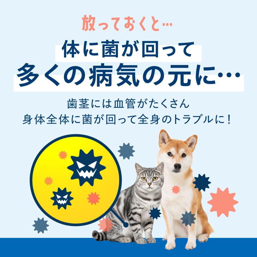 犬 歯磨き 猫 デンタルケア 歯石 歯垢 口臭 歯磨きガム サプリ猫