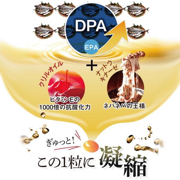 DHAサプリ きなり極 12袋セット DHA EPA オメガ3 中性脂肪 機能性 