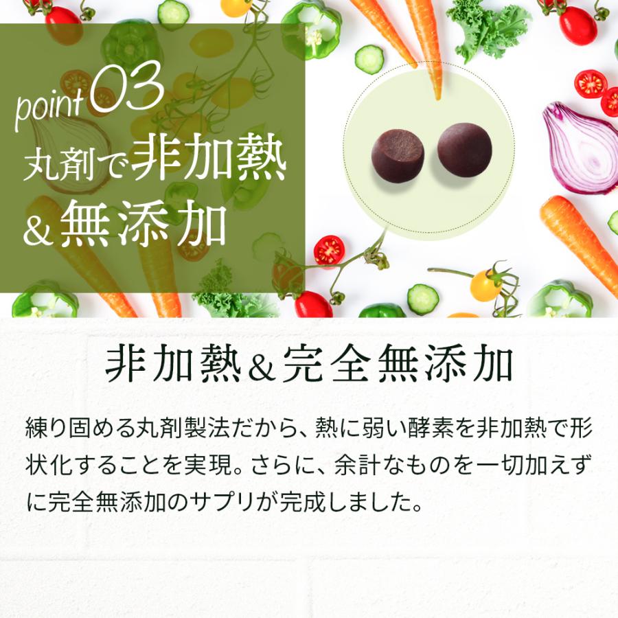 酵素 ダイエット サプリ 食物繊維 乳酸菌 酪酸菌 無添加 スッキリ 旬の実酵素 さくらの森 1袋｜sakura-forest｜14