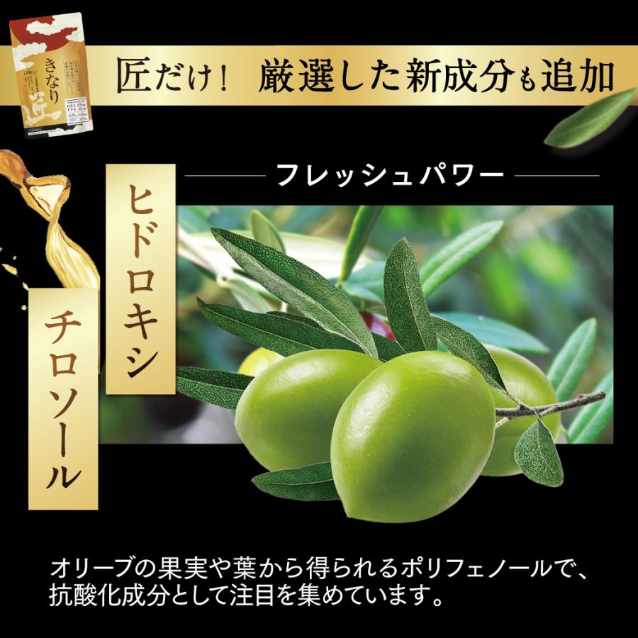 DHA EPA サプリ ナットウキナーゼ オメガ３ アスタキサンチン ヘスペリジン きなり匠 さくらの森 臭いなし 2袋の画像