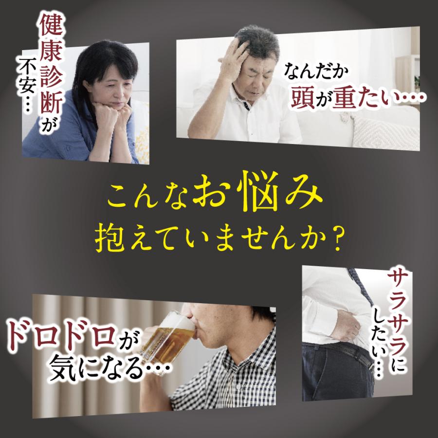 DHA EPA サプリ ナットウキナーゼ オメガ３ アスタキサンチン ヘスペリジン きなり匠 さくらの森 臭いなし 2袋の画像
