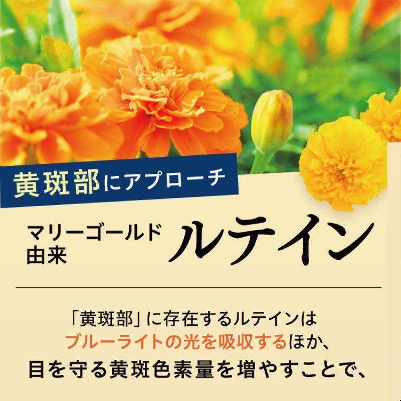 さくらの森 ルテイン サプリメント アイケア 目 ドライ めなり極