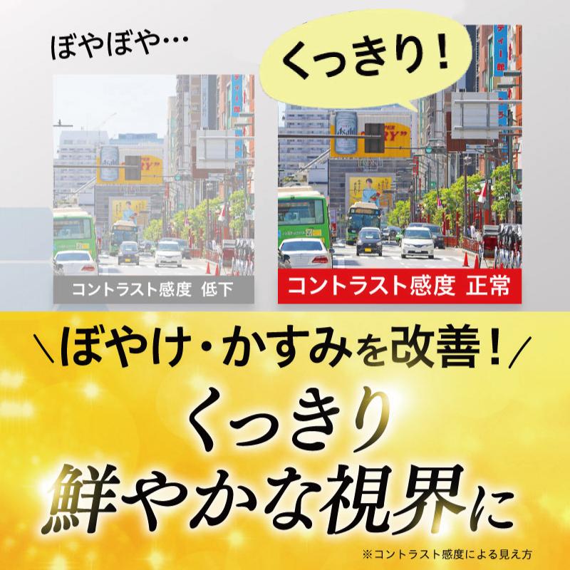 ルテイン サプリメント アイケア 目 ドライ めなり極 ブルーベリー ビルベリー アスタキサンチン アントシアニン さくらの森 眼精疲労 ぼやけ かすみ 2袋｜sakura-forest｜08