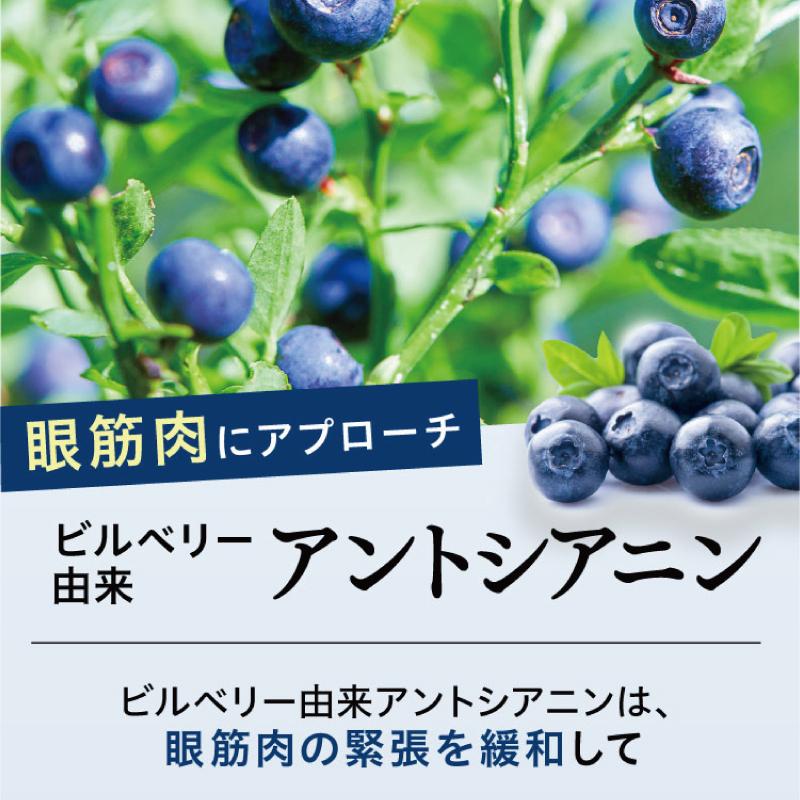 ルテイン サプリメント アイケア 目 ドライ めなり極 ブルーベリー ビルベリー アスタキサンチン アントシアニン さくらの森 眼精疲労 ぼやけ かすみ 3袋｜sakura-forest｜09