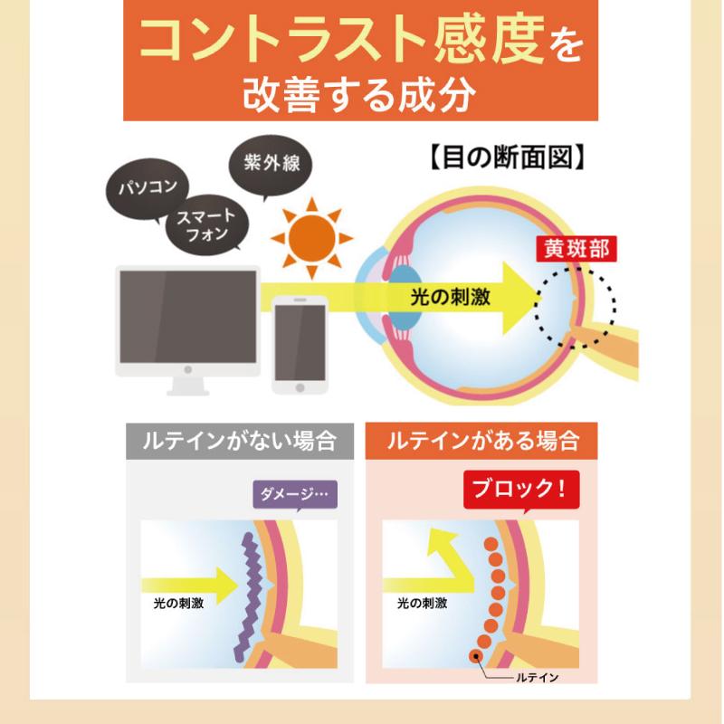 日本最大のルテイン サプリメント アイケア さくらの森 ぼやけ 目 ドライ めなり極 眼精疲労 ブルーベリー ビルベリー かすみ アスタキサンチン アントシアニン 6袋 アスタキサンチン めなり極 さくらの森 6袋