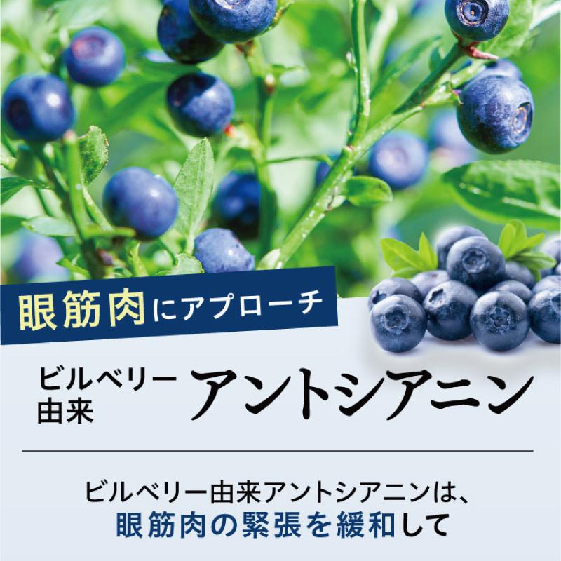 さくらの森 めなり極 ルテイン サプリメント アイケア 目 ブルーベリー