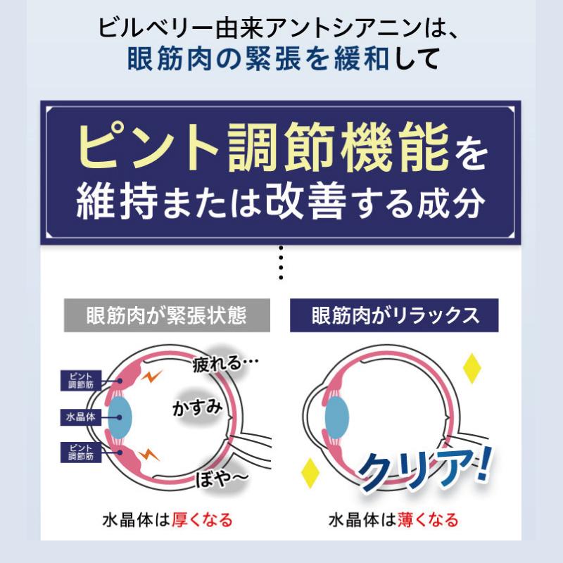 ルテイン サプリメント アイケア 目 ドライ めなり極 ブルーベリー ビルベリー アスタキサンチン アントシアニン さくらの森 眼精疲労 ぼやけ かすみ 1袋｜sakura-forest｜10