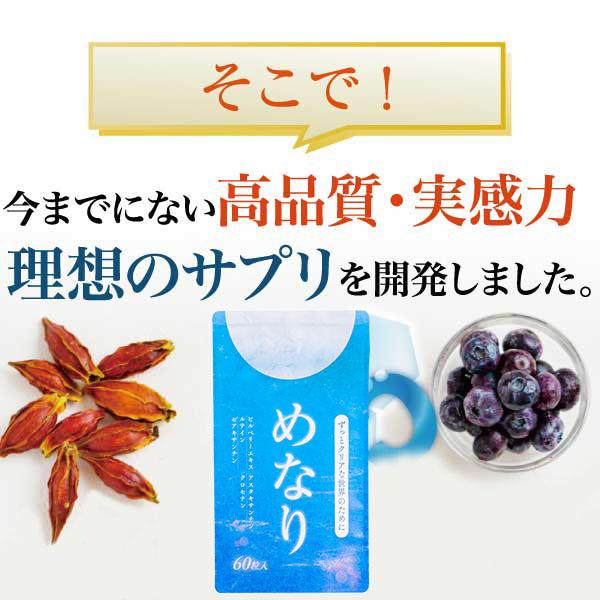3袋セット めなり極 さくらの森 サプリメント さくらの森 ルテイン サプリメント アイケア 目 ドライ めなり極