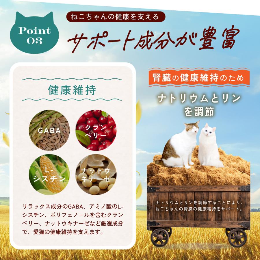 猫 ねこ ネコ 腎臓 サプリ シャンピニオンエキス ラクティウム 便臭