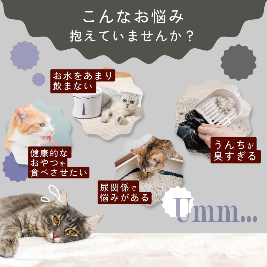 猫 ねこ ネコ 腎臓 サプリ シャンピニオンエキス ラクティウム 便臭
