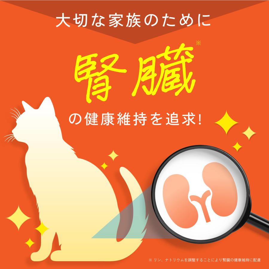 猫 ねこ ネコ 腎臓 サプリ シャンピニオンエキス ラクティウム 便臭