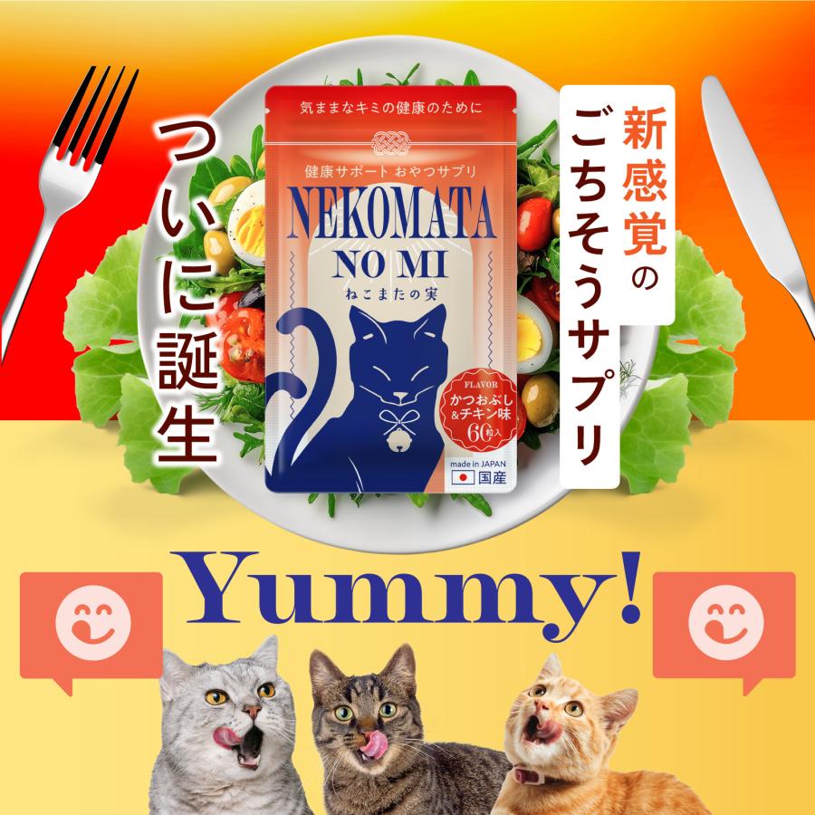 猫 ねこ ネコ 腎臓 サプリ シャンピニオンエキス ラクティウム 便臭