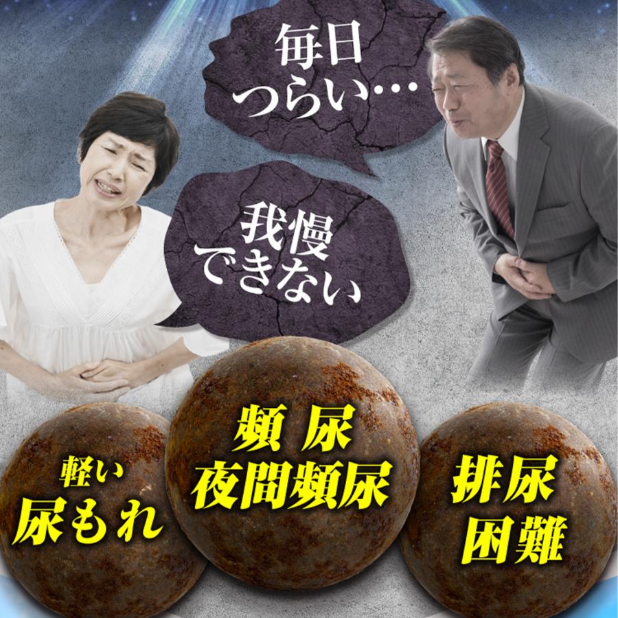 さくらの森 トメラック EX 尿 膀胱の薬 頻尿 尿漏れ 第2類医薬品 八味