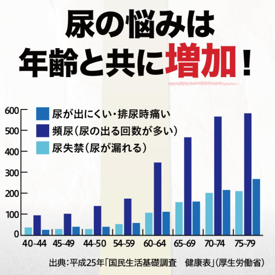 トメラック EX 尿 膀胱の薬 頻尿 尿漏れ  第2類医薬品 八味地黄丸 肢痛 腰痛 しびれかゆみ 排尿困難 残尿感 6袋の画像