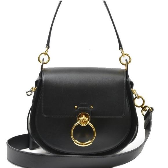Chloe 【美品】クロエ テス スモール バッグ 2WAYショルダー