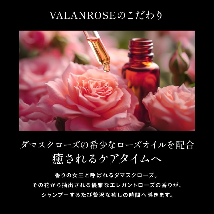 VALANROSE 白髪染めシャンプー KUROクリームシャンプー 2本 VALANROSE 白髪染めシャンプー KUROクリームシャンプー 2本