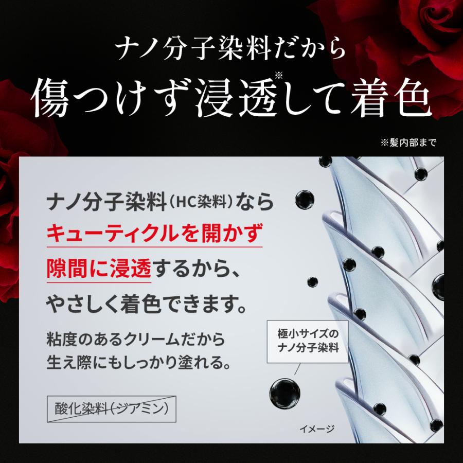 VALANROSE 白髪染めシャンプー KUROクリームシャンプー 2本 VALANROSE 白髪染めシャンプー KUROクリームシャンプー 2本