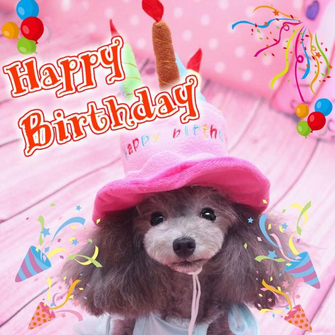 犬 服 ドッグウェア 帽子 バースデー ケーキ ハット コスチューム ペット コスプレ 小型犬 中型犬 猫 Pw 05 Pw 05 春夏秋冬 通販 Yahoo ショッピング