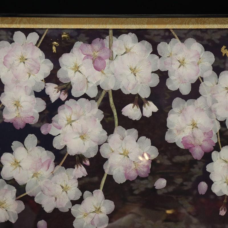 雛人形 親王平飾り 春乃 平安寿峰 京十番 親王 京雛殿 押し花屏風夜桜幻想 2024-yg066 幅80cm 平飾_9