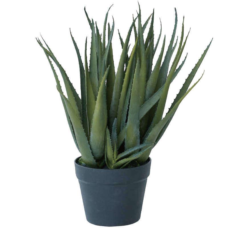 人工観葉植物 アロエベラポット52 1個 Ba080 0 多肉植物 代引き不可 20b 47 Ba080 0 さくらソレイユ 通販 Yahoo ショッピング