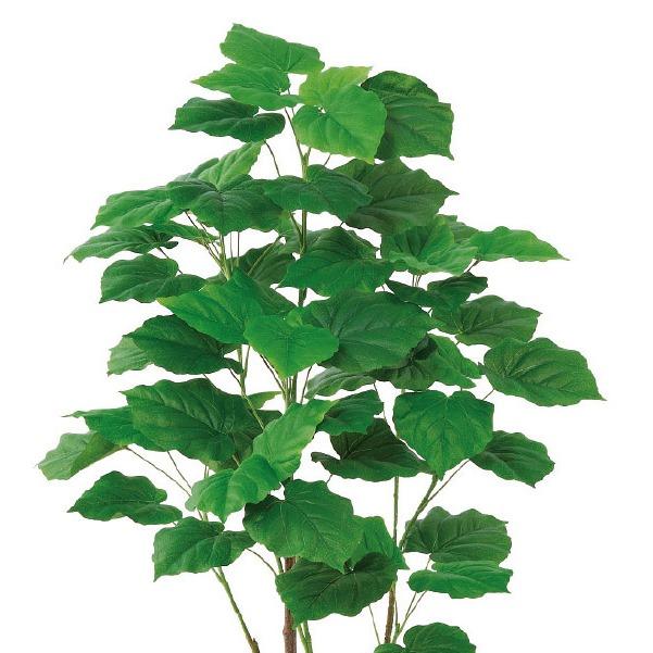 人工観葉植物 ウンベラータ （ポット付き） グリーン 高さ120cm （P276-a51104) （代引き不可）｜sakura-soleil｜02