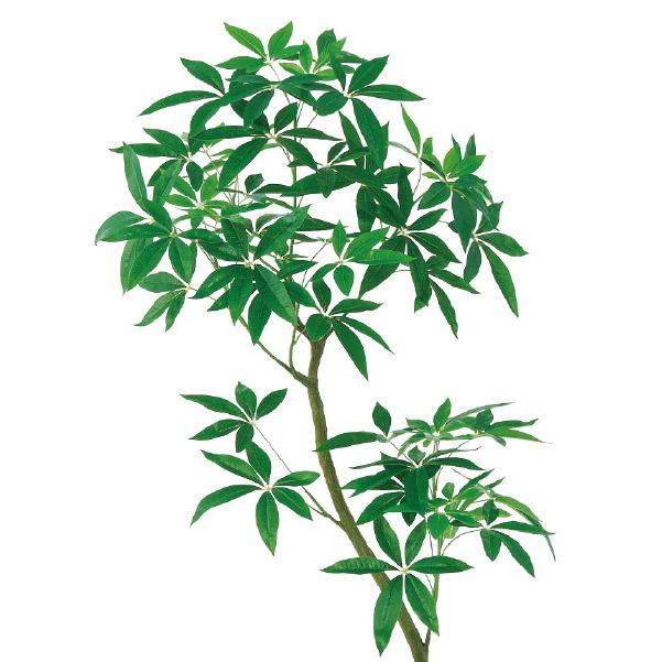 人工観葉植物 パキラ （ポット付き） グリーン 高さ180cm （P275-a51112) （代引き不可）｜sakura-soleil｜02