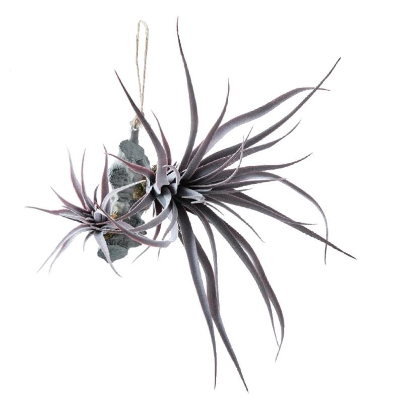 人工観葉植物 チランジア 着生 パープル 32 （24個入り） MIRAKANA_1