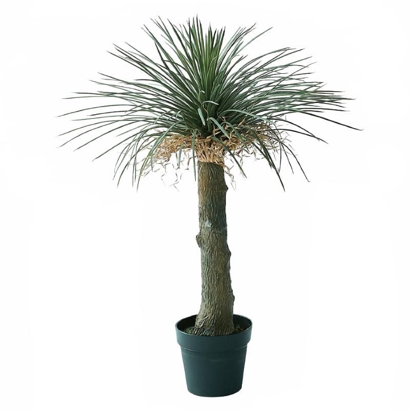 69187623_4