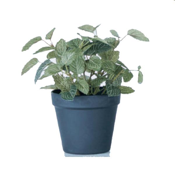 人工観葉植物 フィットニア ポット 22 （12個入り） MIRAKANA_1