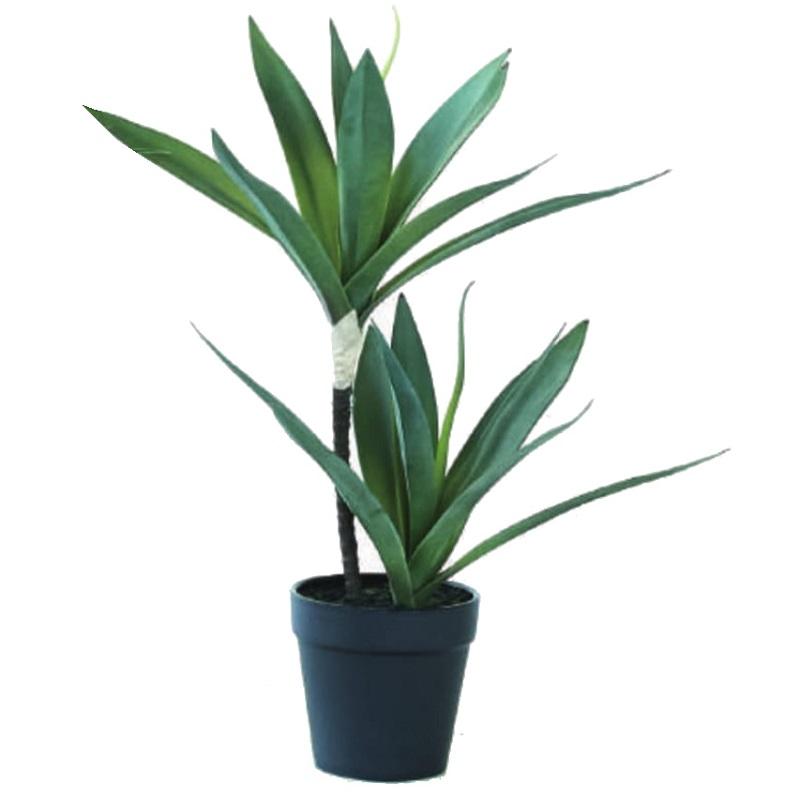 人工観葉植物 ユッカ ポット 38 （1個入り） MIRAKANA : さくら