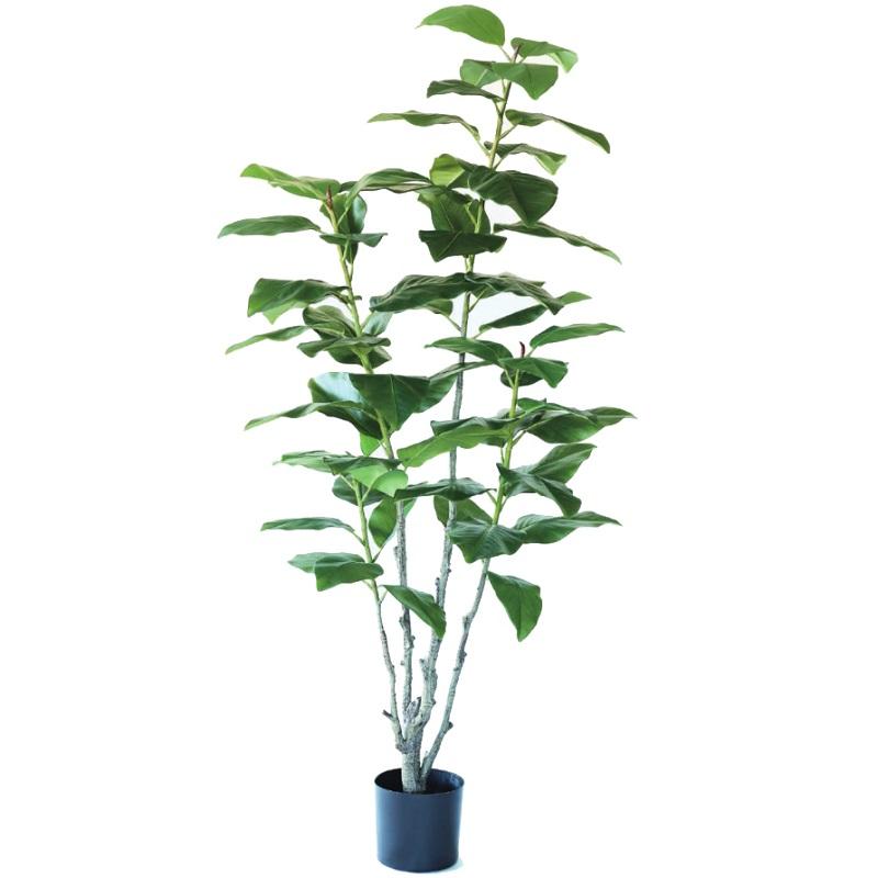 人工観葉植物 フィカス エラスティカ ポット 195 （1個入り） 993080