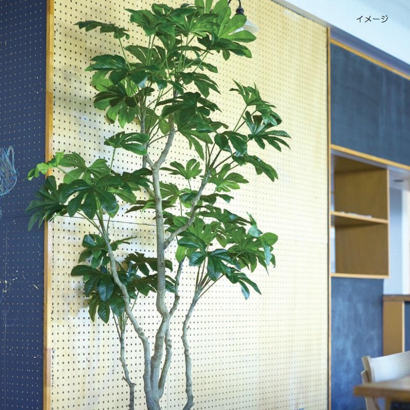 人工観葉植物 ヤツデ ポット 190 （1個入り） MIRAKANA : さくら