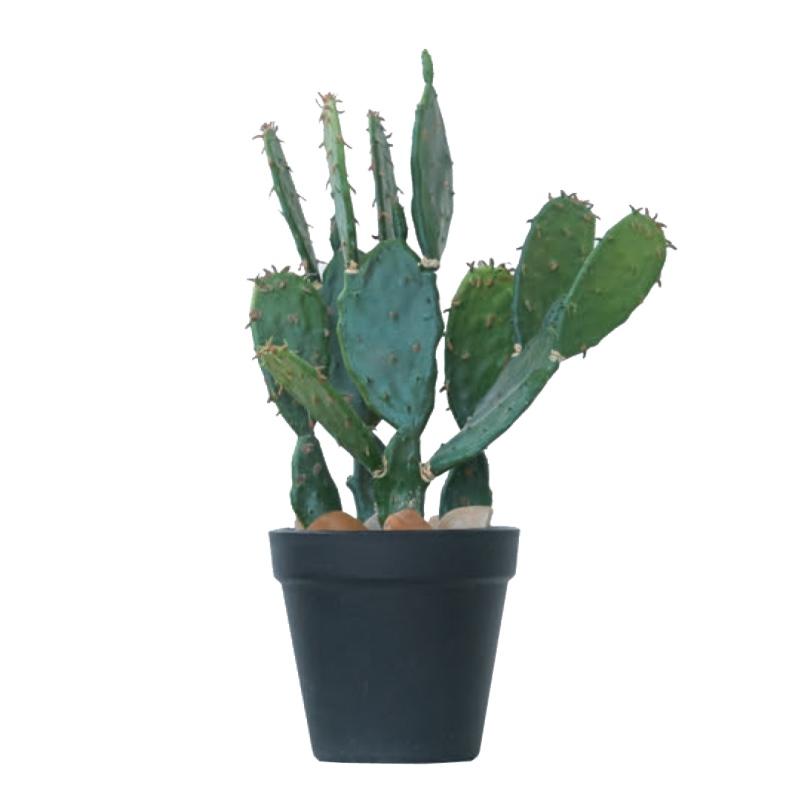 人工観葉植物 ウチワサボテンポット31 1個 Ba140 1 代引き不可 P59 Brown Ba140 1 さくらソレイユ 通販 Yahoo ショッピング