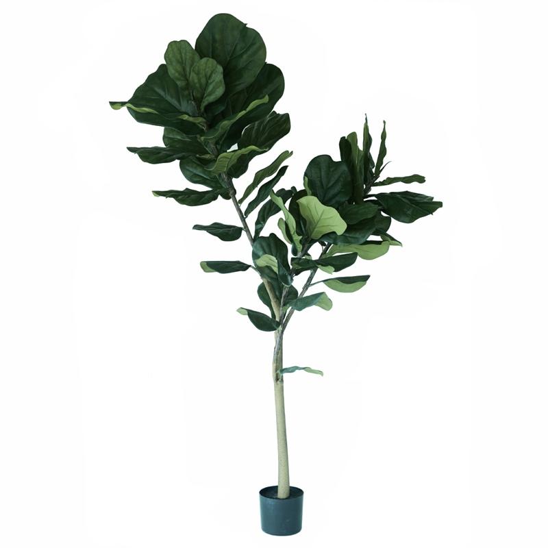 人工観葉植物 カシワバゴムポット1 1個 740 0 代引き不可 P35 Brown 740 0 さくらソレイユ 通販 Yahoo ショッピング