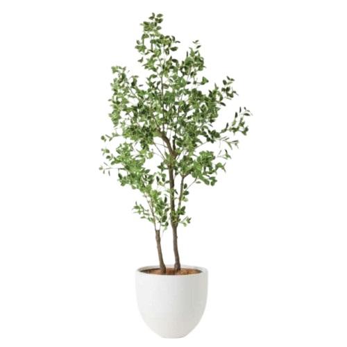 人工観葉植物 フルセット ラウンドポット（ホワイト） /斑入り