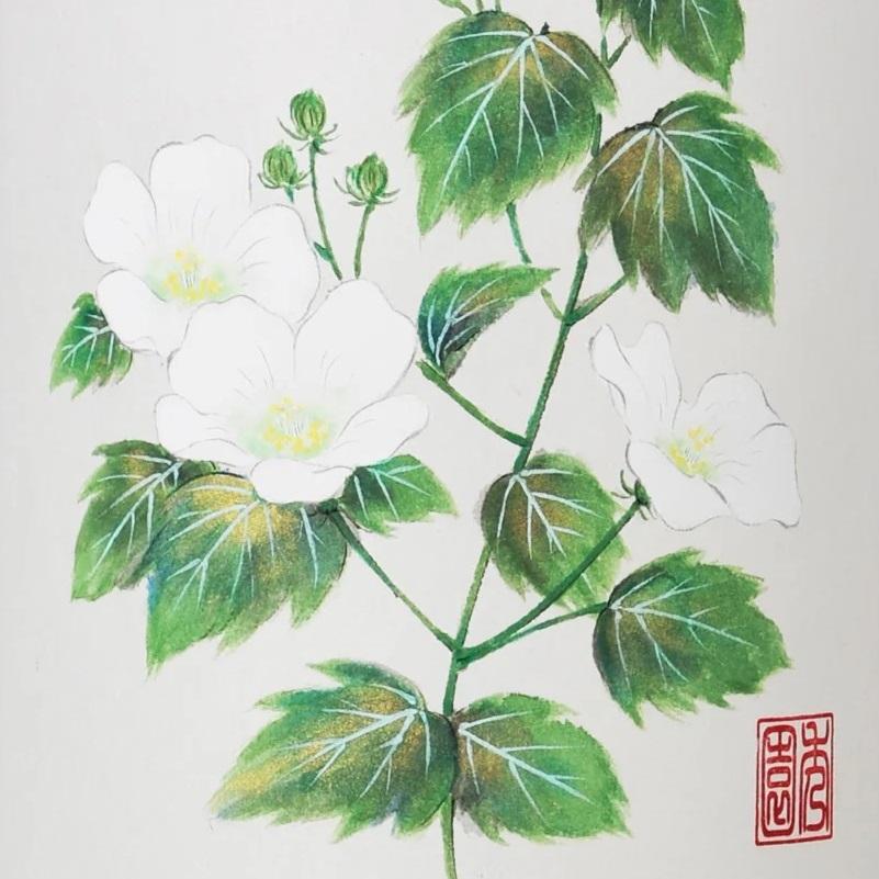 盆提灯 岐阜提灯 置き提灯 創作提灯 細川紙の岐阜提灯 新京香灯420 