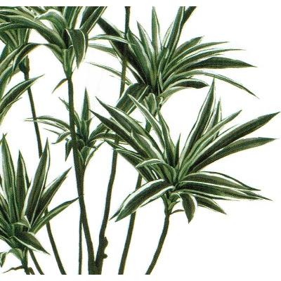 人工観葉植物 ドラセナ 高さ150cm （P225) （fg25650) （代引き不可）_2