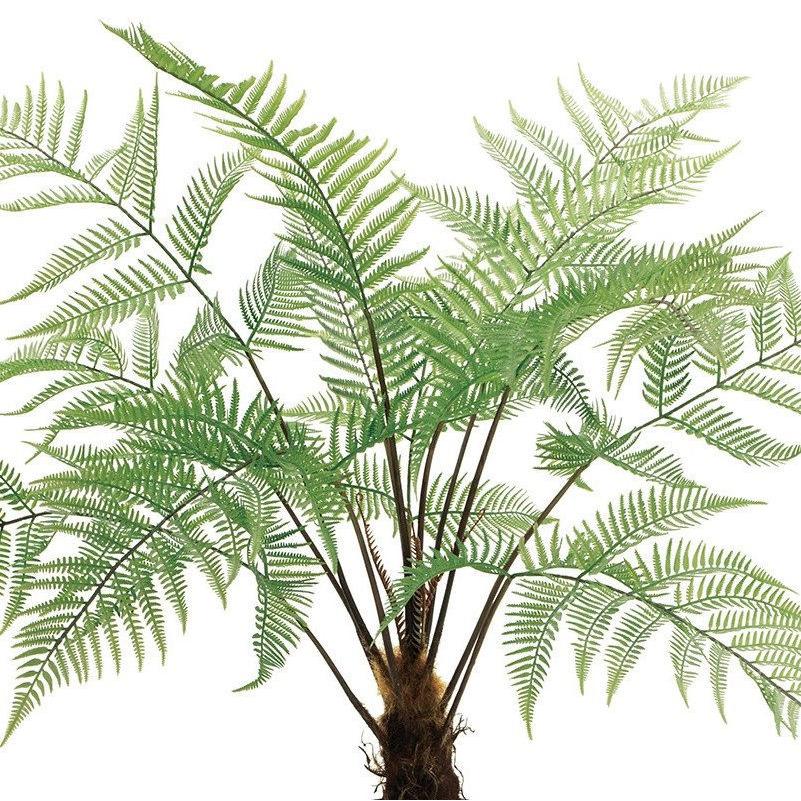人工観葉植物 ブライトファーン ポット 高さ70cm （P214) （fg293) （代引き不可）の画像