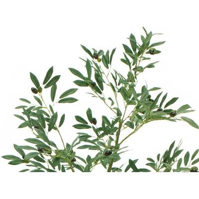 人工観葉植物 オリーブツリーポット 4F 高さ120cm （P222) （fg3920) （代引き不可）の画像